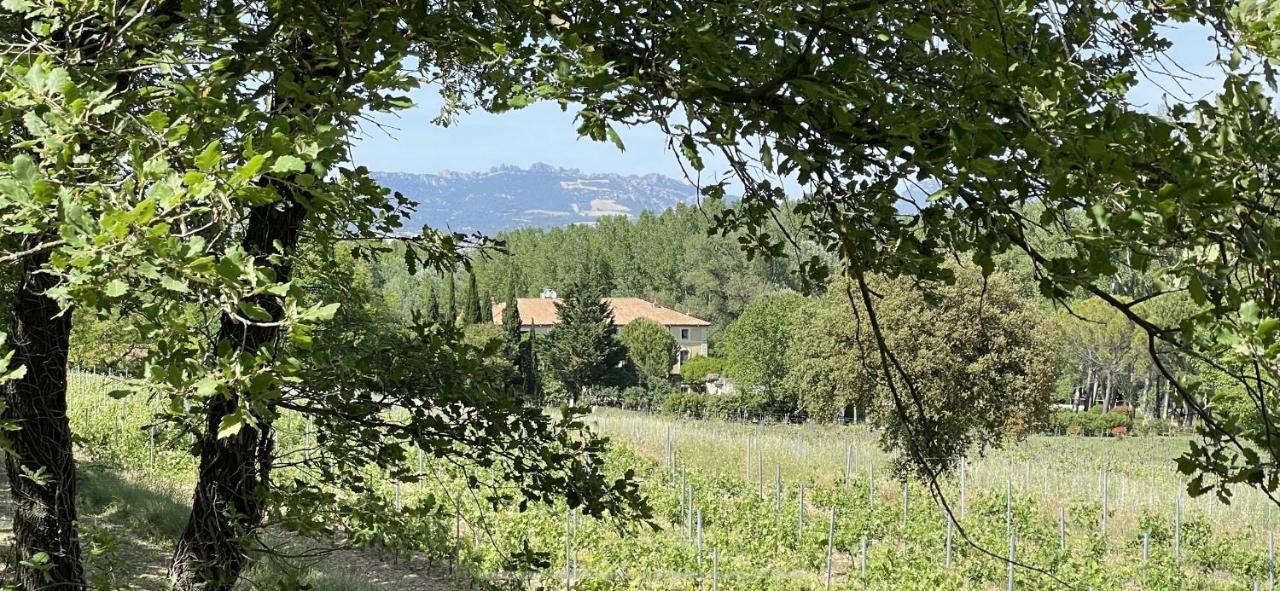 Chateau Talaud Loriol-du-Comtat Dış mekan fotoğraf