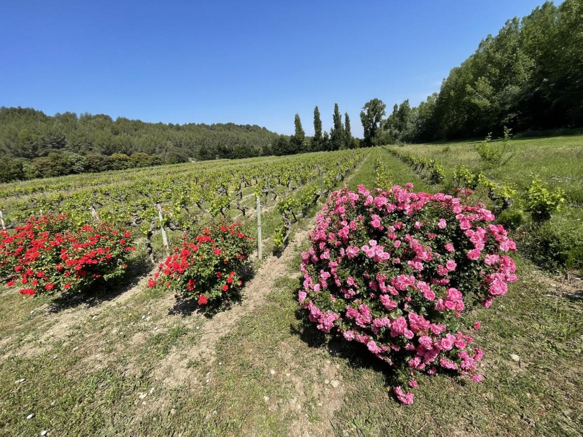 Chateau Talaud Loriol-du-Comtat Dış mekan fotoğraf