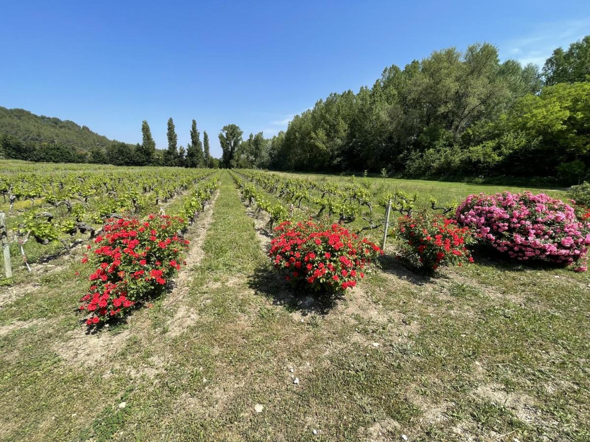Chateau Talaud Loriol-du-Comtat Dış mekan fotoğraf